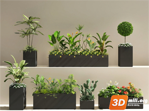 Mini Garden Skp Files 